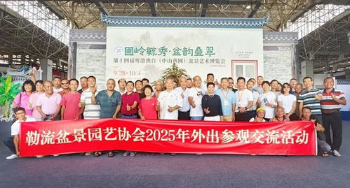 超2萬人打卡！第十四屆粵港澳臺盆景藝術博覽會中山黃圃完美收官